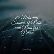 25 Relaxing Sounds of Rain and Rain for Relax