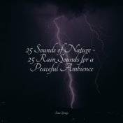 25 Sounds of Nature - 25 Rain Sounds for a Peaceful Ambience