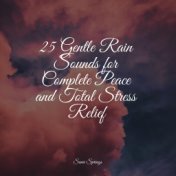 25 Gentle Rain Sounds for Complete Peace and Total Stress Relief