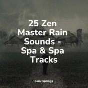 25 Zen Master Rain Sounds - Spa & Spa Tracks