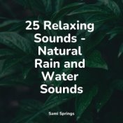 25 Relaxing Sounds - Natural Rain and Water Sounds