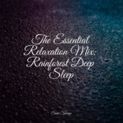 The Essential Relaxation Mix: Rainforest Deep Sleep
