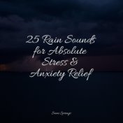 25 Rain Sounds for Absolute Stress & Anxiety Relief