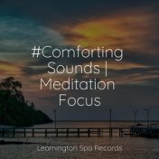 #Comforting Sounds | Meditation Focus