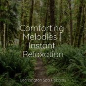 Comforting Melodies | Instant Relaxation