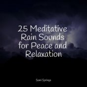 25 Meditative Rain Sounds for Peace and Relaxation