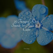 25 Tranquil Rain Sounds for Peace and Calm