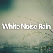 White Noise Rain