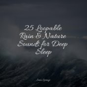 25 Loopable Rain & Nature Sounds for Deep Sleep