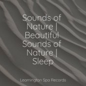 Sounds of Nature | Beautiful Sounds of Nature | Sleep