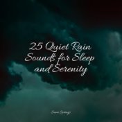 25 Quiet Rain Sounds for Sleep and Serenity