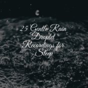 25 Gentle Rain Droplet Recordings for Sleep
