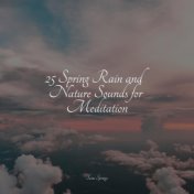 25 Spring Rain and Nature Sounds for Meditation