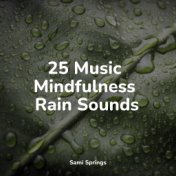 25 Music Mindfulness Rain Sounds