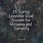 25 Spring Loopable Rain Sounds for Relaxing and Serenity
