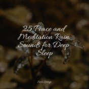 25 Peace and Meditation Rain Sounds for Deep Sleep