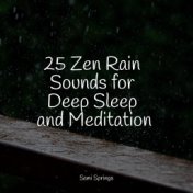 25 Zen Rain Sounds for Deep Sleep and Meditation