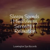 Sleepy Sounds | Mindfulness, Serenity & Relaxation