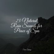 25 Natural Rain Sounds for Peace of Spa