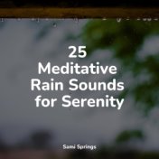 25 Meditative Rain Sounds for Serenity