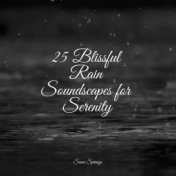 25 Blissful Rain Soundscapes for Serenity