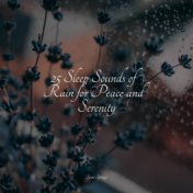 25 Sleep Sounds of Rain for Peace and Serenity