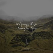 25 Spring Rain Sound for Sleep