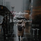 Meditation Music - Natural Rain Songs