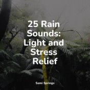 25 Rain Sounds: Light and Stress Relief