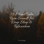 25 Mind Calm Rain Sounds for Deep Sleep & Relaxation