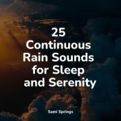 25 Continuous Rain Sounds for Sleep and Serenity