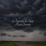 25 Serenity & Sleep Rain Sounds