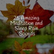 25 Amazing Meditation and Sleep Rain Sounds