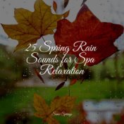 25 Spring Rain Sounds for Spa Relaxation