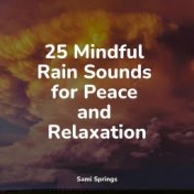 25 Mindful Rain Sounds for Peace and Relaxation