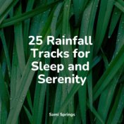 25 Rainfall Tracks for Sleep and Serenity