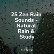 25 Zen Rain Sounds - Natural Rain & Study
