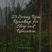 25 Spring Rain Recordings for Sleep and Relaxation