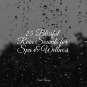 25 Blissful Rain Sounds for Spa & Wellness