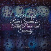 25 Powerful Rain Sounds for Total Peace and Serenity