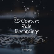25 Content Rain Recordings