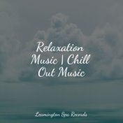 Relaxation Music | Chill Out Music