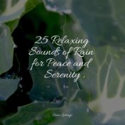 25 Relaxing Sounds of Rain for Peace and Serenity