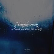 Heavenly Spring Rain Sounds for Sleep