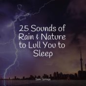 25 Sounds of Rain & Nature to Lull You to Sleep