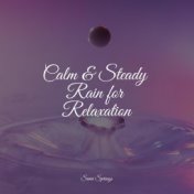 Calm & Steady Rain for Relaxation