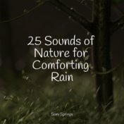 25 Sounds of Nature for Comforting Rain