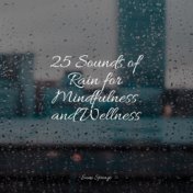 25 Sounds of Rain for Mindfulness and Wellness