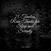 25 Timeless Rain Tracks for Sleep and Serenity