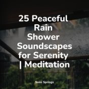 25 Peaceful Rain Shower Soundscapes for Serenity | Meditation